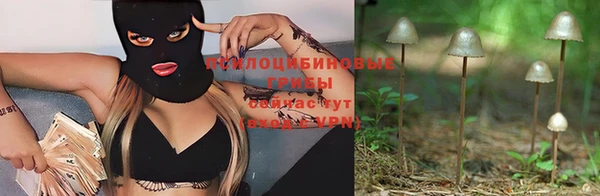 ешки Зеленокумск