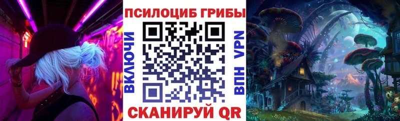 Псилоцибиновые грибы GOLDEN TEACHER  Купить  Микунь 